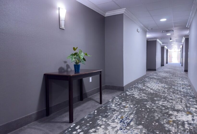 酒店 American Inn Madill