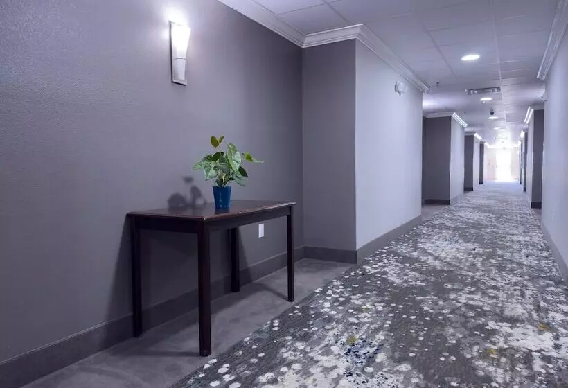 호텔 American Inn Madill