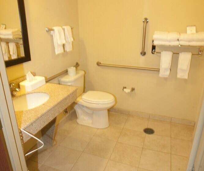 فندق Cobblestone Inn & Suites Langdon