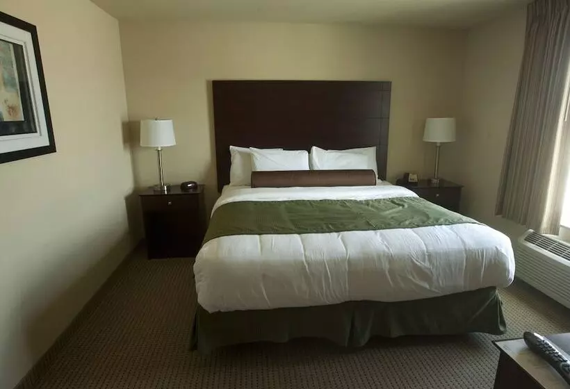 ホテル Cobblestone Inn & Suites Langdon