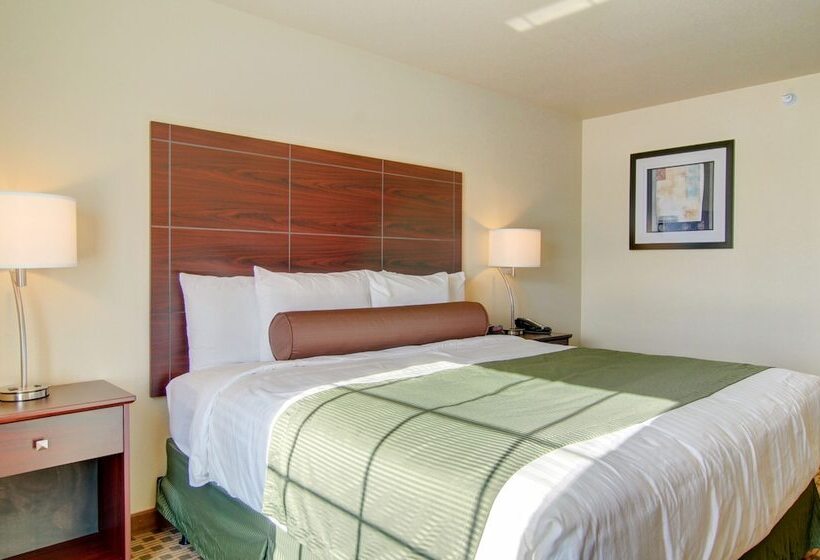 فندق Cobblestone Inn & Suites Langdon