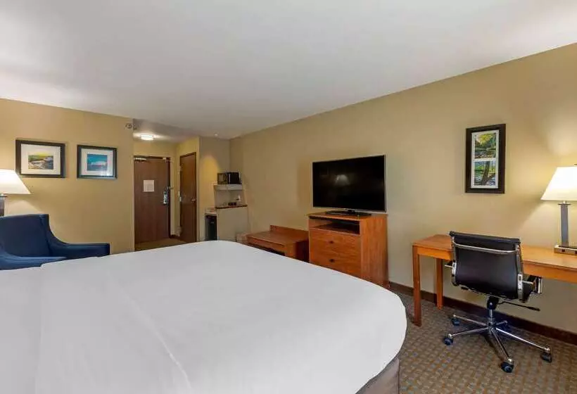 호텔 Comfort Inn & Suites Marion I57