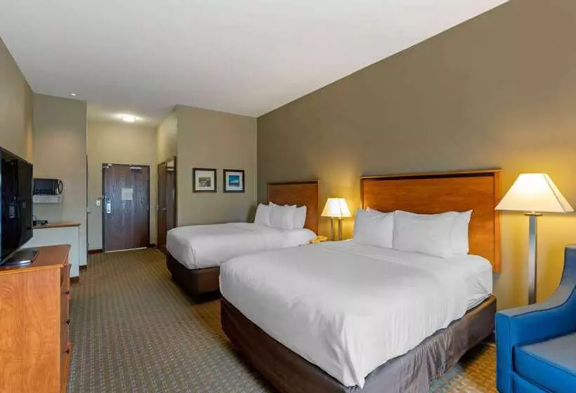 호텔 Comfort Inn & Suites Marion I57