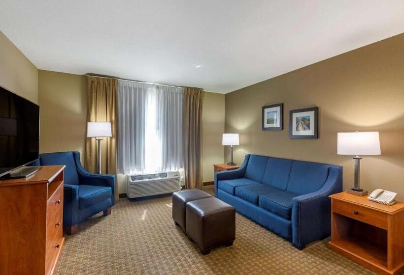 ホテル Comfort Inn & Suites Marion I57