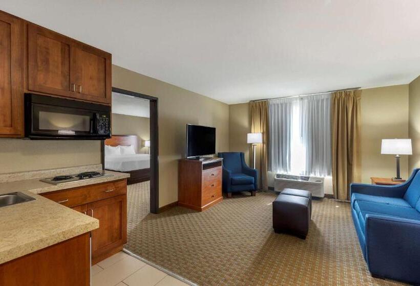 ホテル Comfort Inn & Suites Marion I57