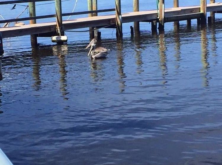 فندق Bridgewater Inn