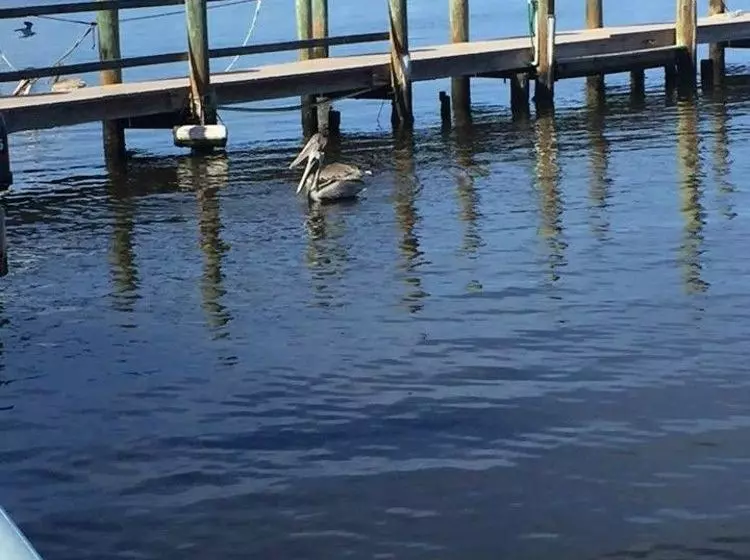 호텔 Bridgewater Inn