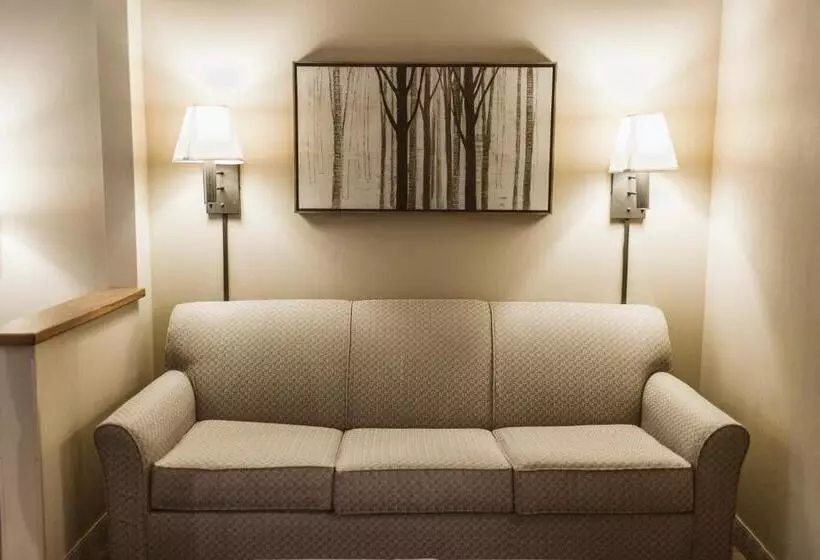 فندق Everspring Suites