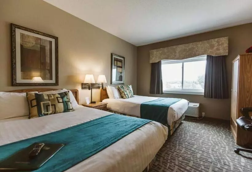 فندق Everspring Suites