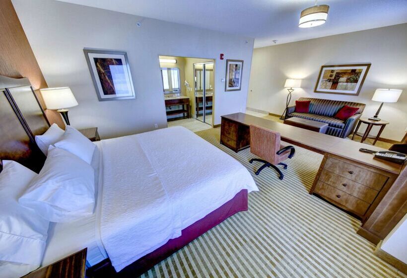 فندق Hampton Inn & Suites Harrisburg/north