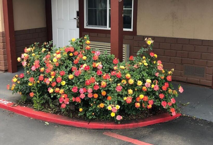 ホテル Haven Inn Of Chico