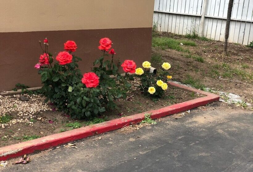 ホテル Haven Inn Of Chico