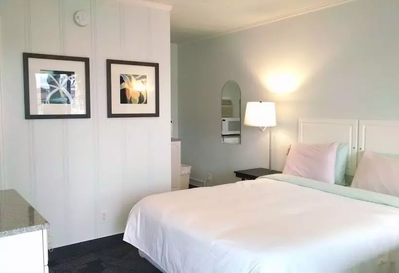 酒店 Murray Inn And Art Gallery