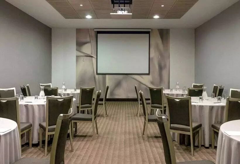 酒店 Pullman Santiago Vitacura