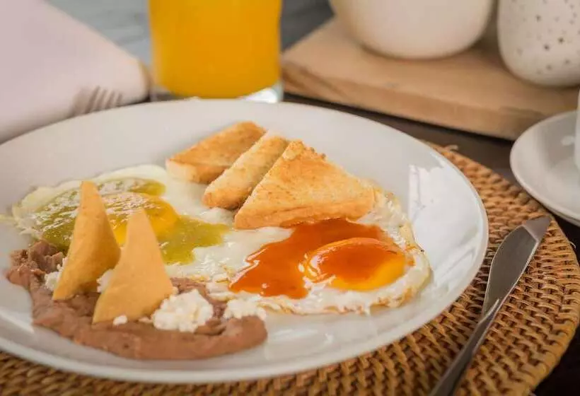 ホテル Suites Contempo