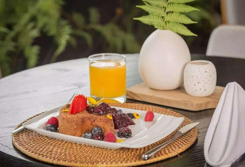 ホテル Suites Contempo