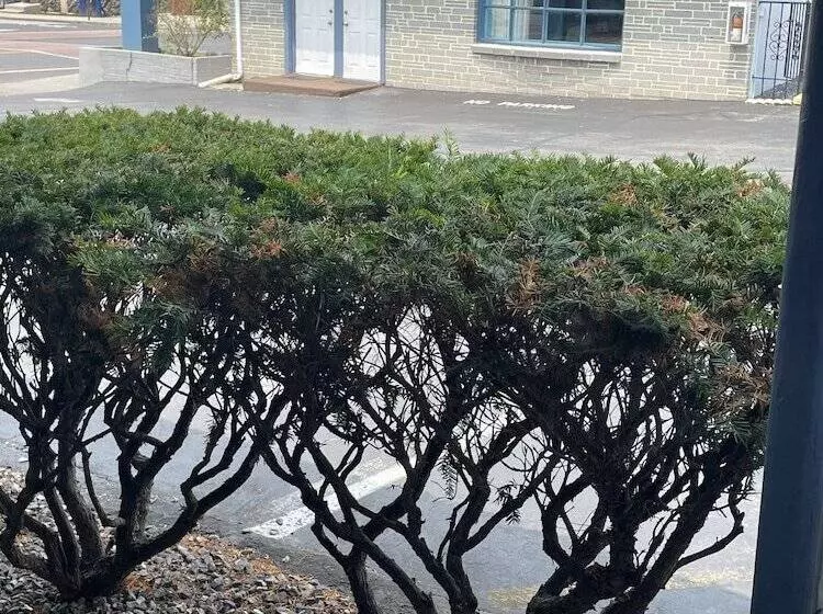 Colton Motel Gettysburg