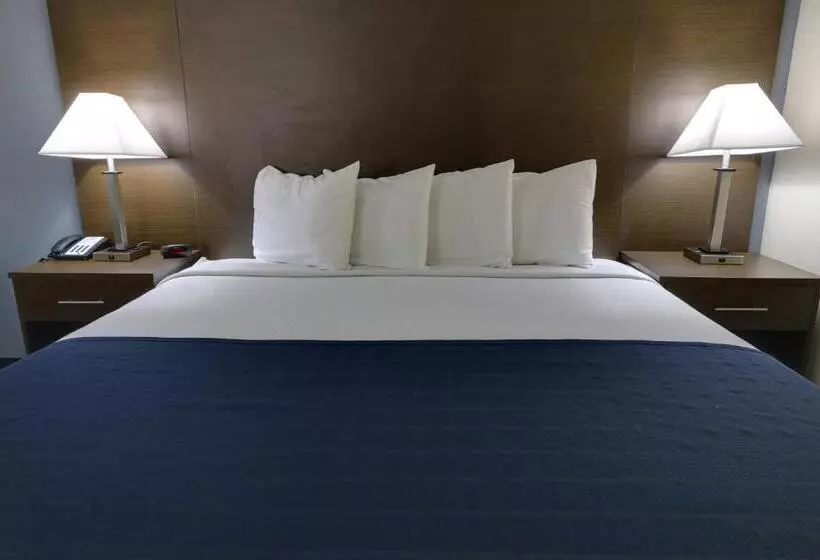 ホテル Baymont By Wyndham Ridgeland I95