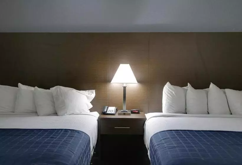 ホテル Baymont By Wyndham Ridgeland I95