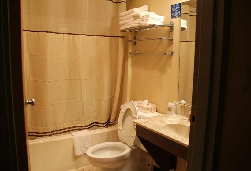 酒店 Budget Host Inn