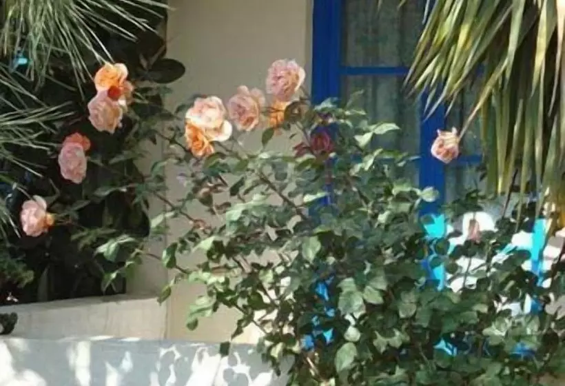 Creta Sun Hotel Studios