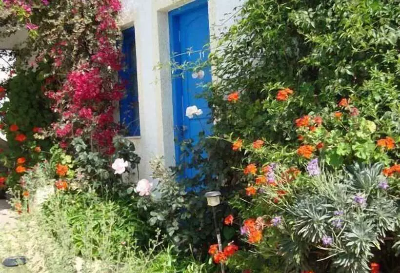 Creta Sun Hotel Studios