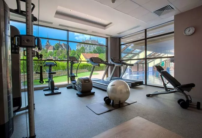 Doubletree By Hilton Hotel Sighisoara   Cavaler