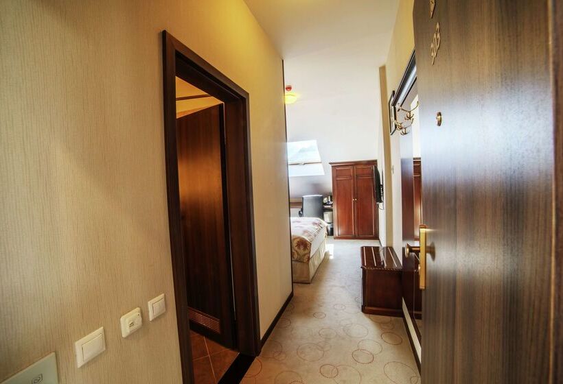 Doubletree By Hilton Hotel Sighisoara   Cavaler