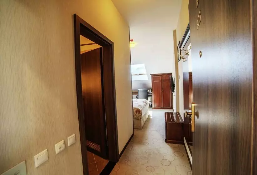 Doubletree By Hilton Hotel Sighisoara   Cavaler