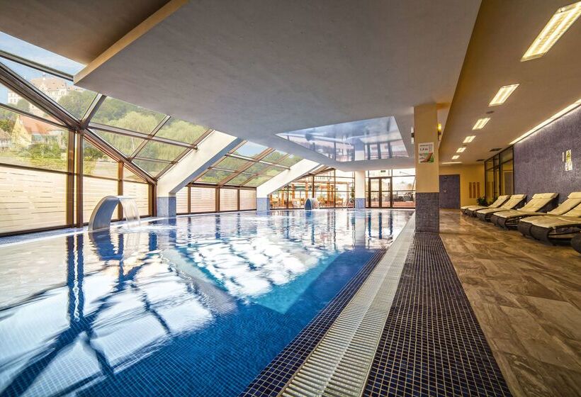 Doubletree By Hilton Hotel Sighisoara   Cavaler