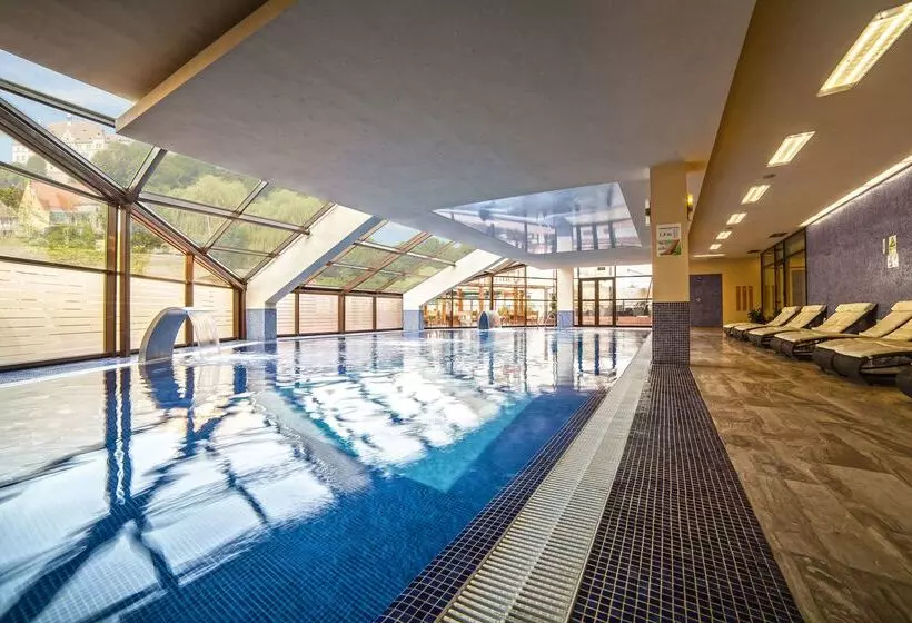 Doubletree By Hilton Hotel Sighisoara   Cavaler