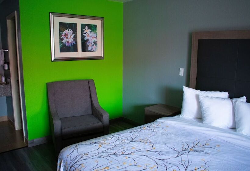 酒店 Fort Davis Inn & Rv Park