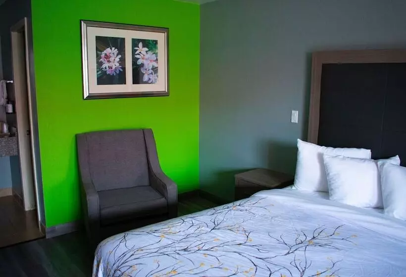 Otel Fort Davis Inn & Rv Park