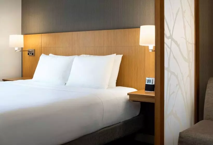 فندق Hyatt Place Austin Downtown