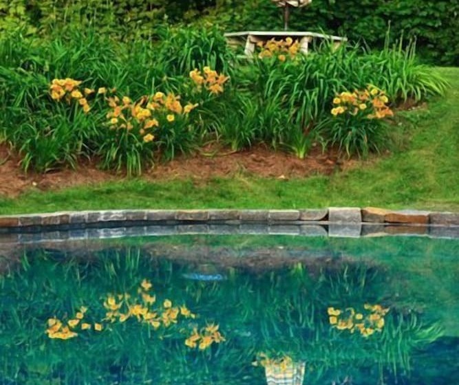 فندق Rock Hall Luxe Lodging