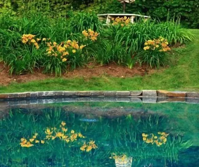 ホテル Rock Hall Luxe Lodging