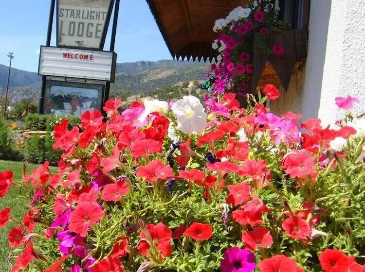 فندق Starlight Lodge