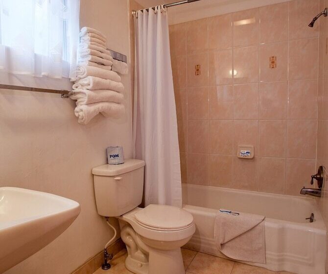 酒店 Starlight Lodge