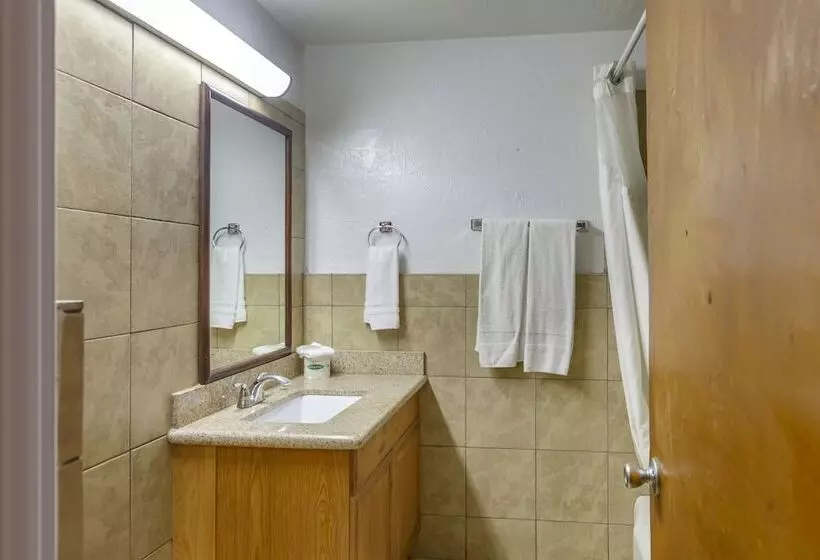 汽车旅馆 Budget Inn Boise