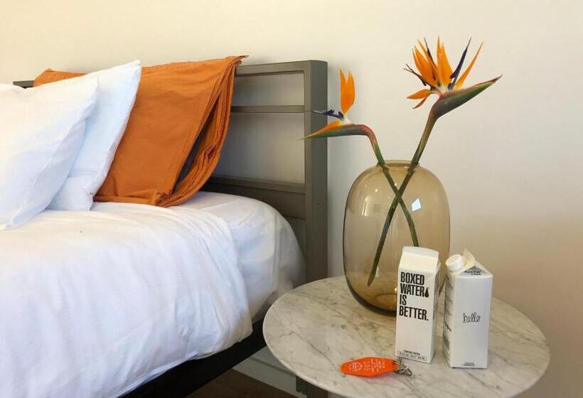 מוטל The M Malibu