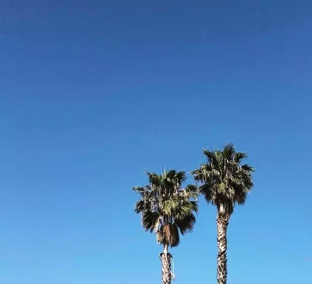 מוטל The M Malibu