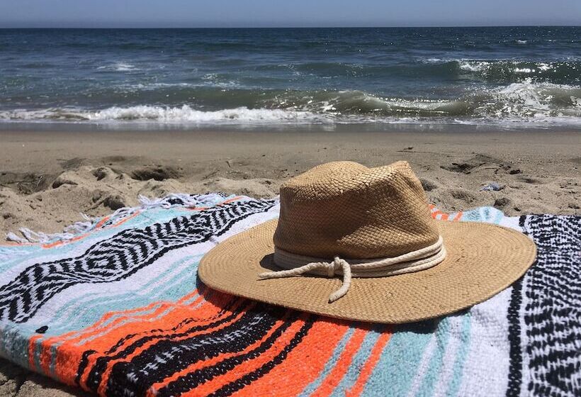 מוטל The M Malibu