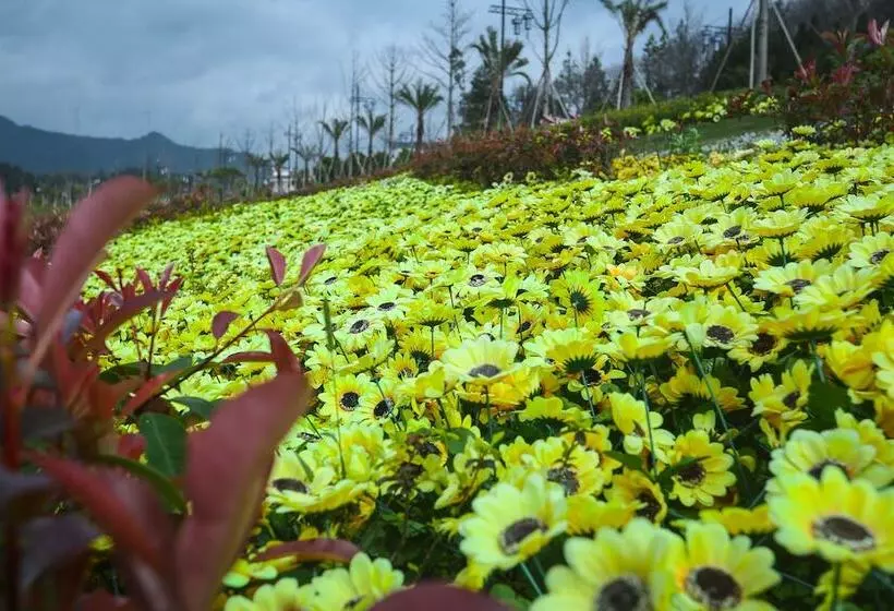 ホテル Qiaofeng Xingzilin