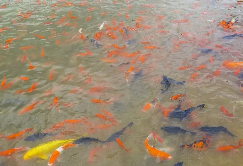 ホテル Qiaofeng Xingzilin