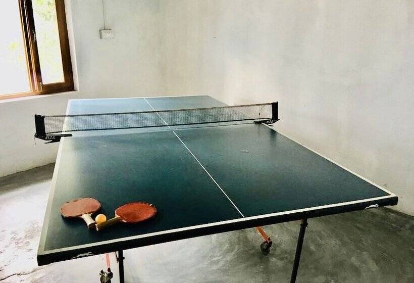 בית מלון כפרי Tatva Bir Tents And