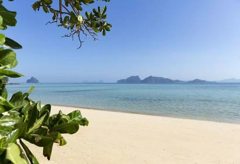 ホテル Mali Koh Kradan