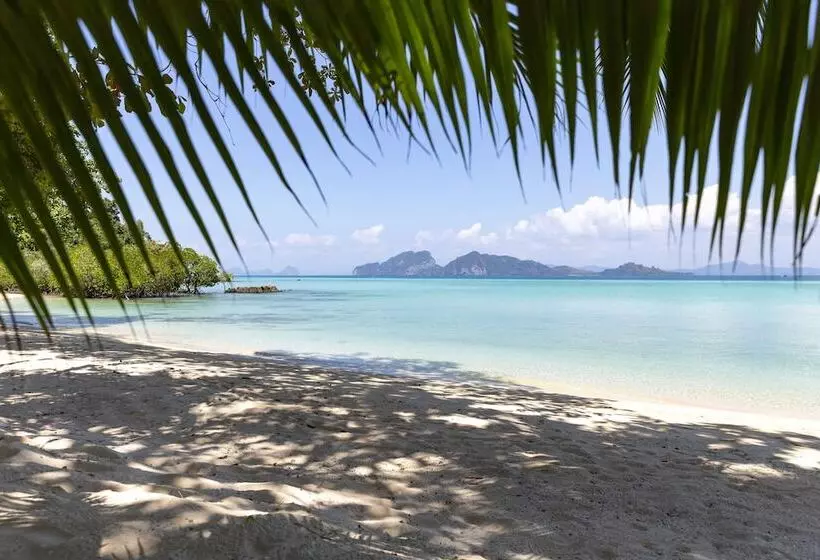 ホテル Mali Koh Kradan