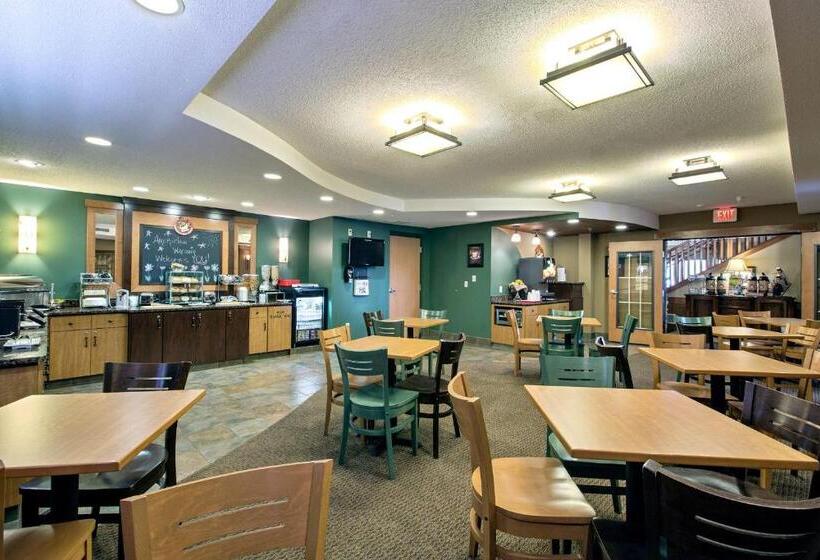 בית מלון כפרי Amerivu Inn And Suites Waconia