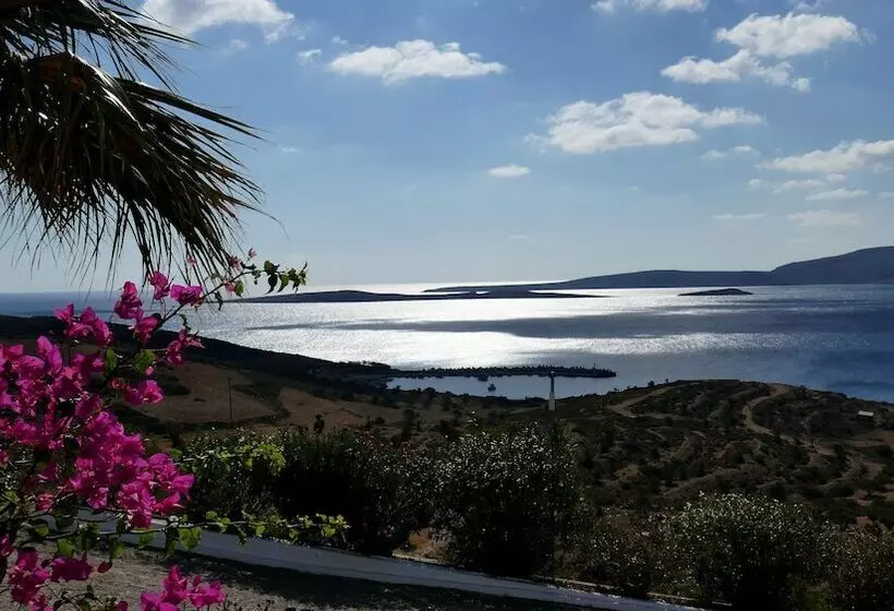 호텔 Castri Village