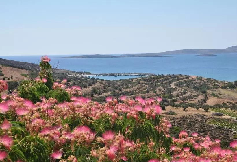 호텔 Castri Village